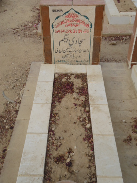 15534 – Sajjadi Begum