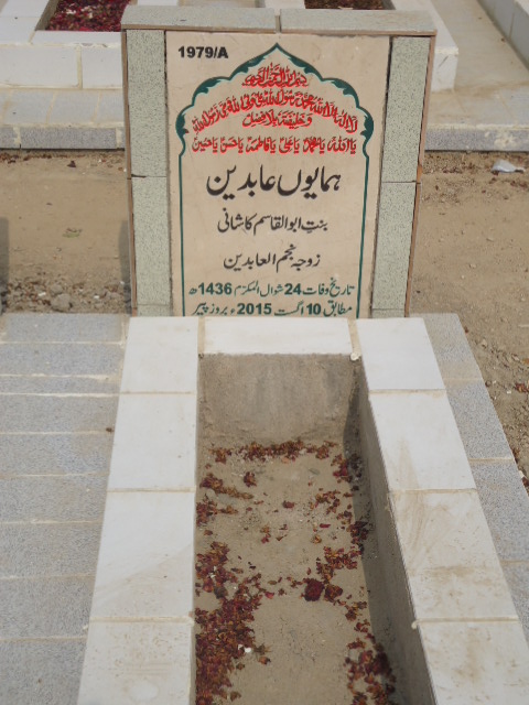 11979 – Humayun Abideen