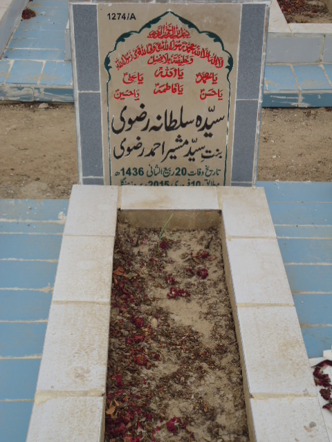 11274 – Syeda Sultana Rizvi