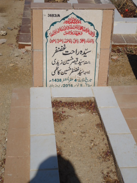 13683 – Syeda Rahat Ghazanfar