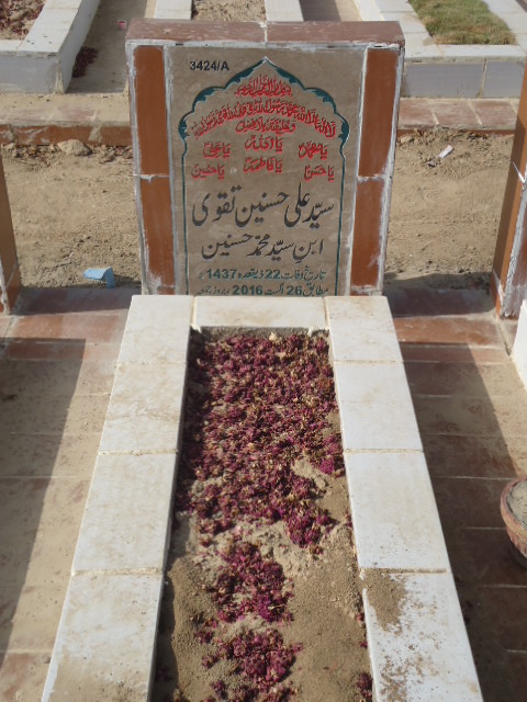 13424 – Syed Ali Hasnain Taqvi