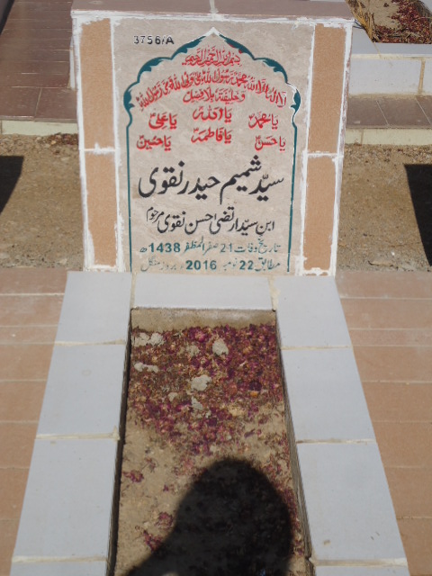 13756 – Syed Shamim Haider Naqvi