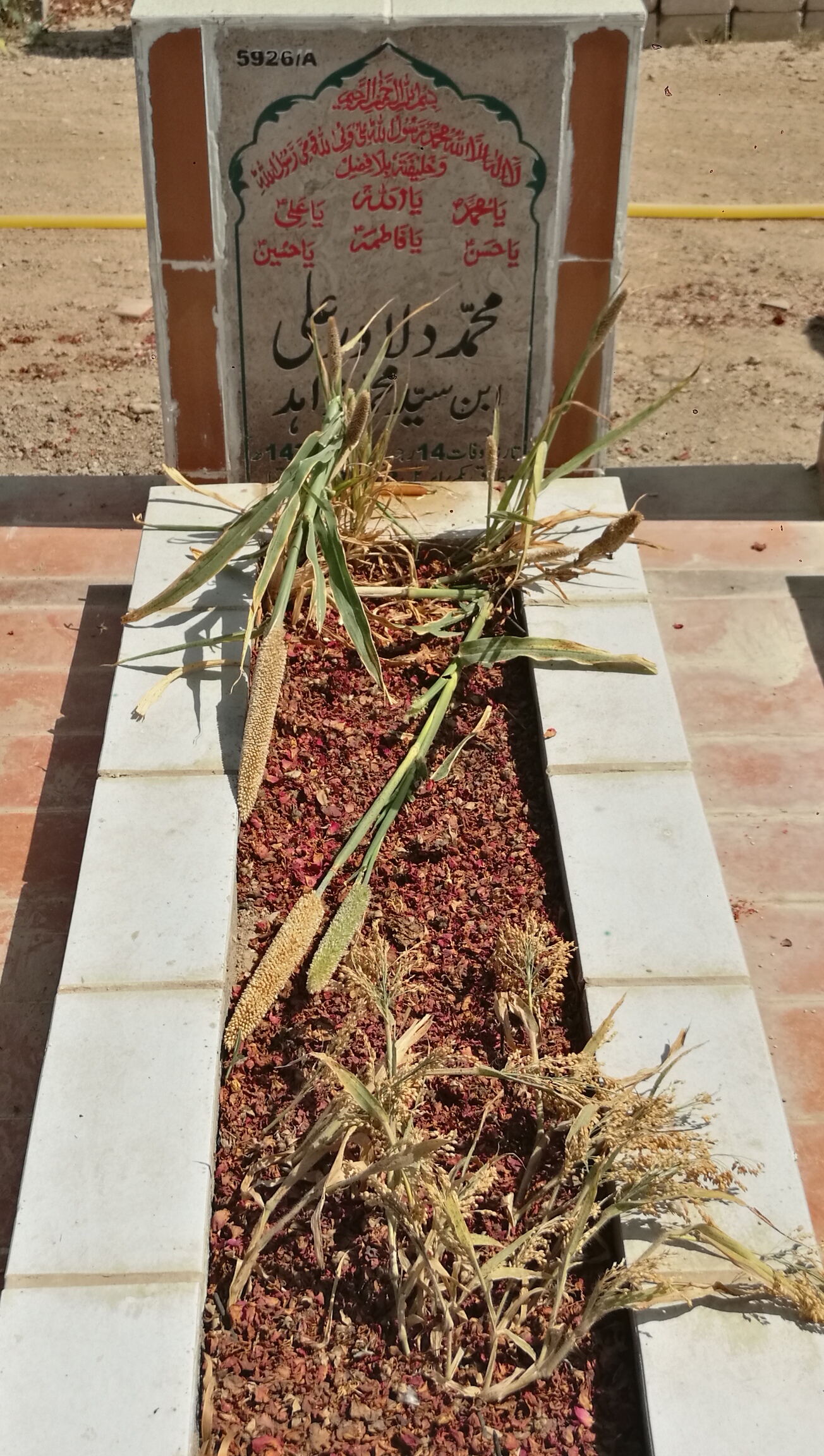 15926 – Muhammad Dilawar Ali