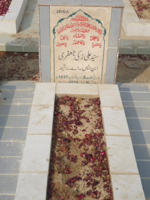 12916 – Syed Ali Zaki Jaffery