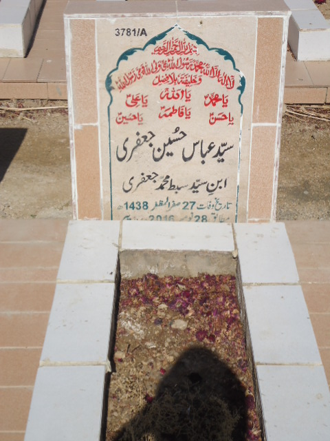 13781 – Syed Abbas Hussain Jaffery