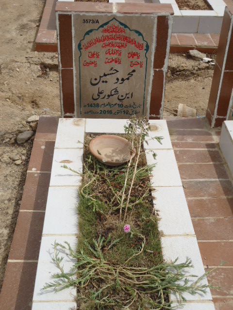 13573 – Mehmood Hussain