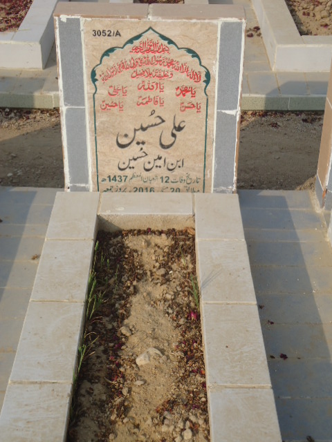 13052 – Ali Hussain