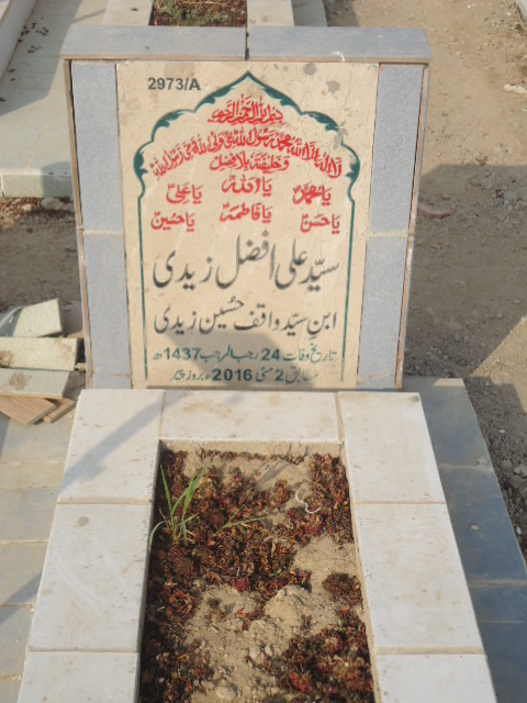 12973 – Syed Ali Afzal Zaidi