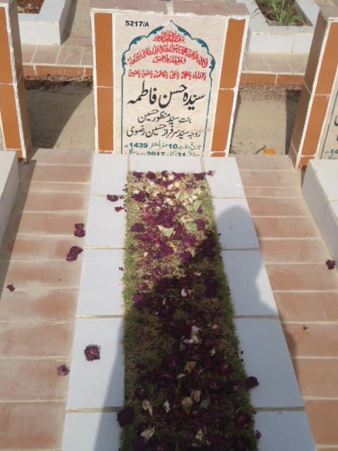 15217 – Syeda Hassan Fatima