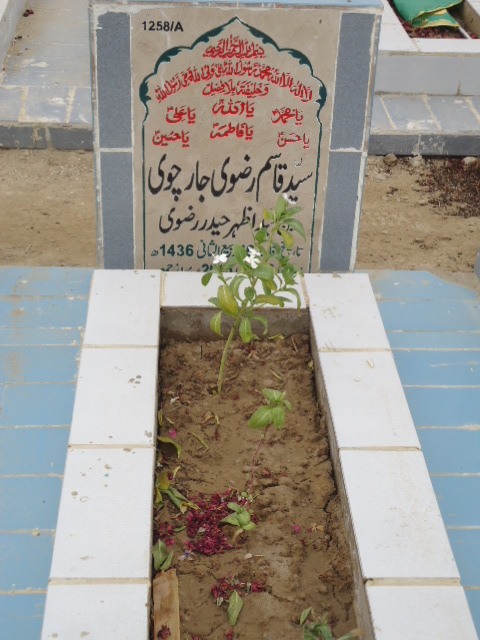 11258 – Syed Qasim Rizvi