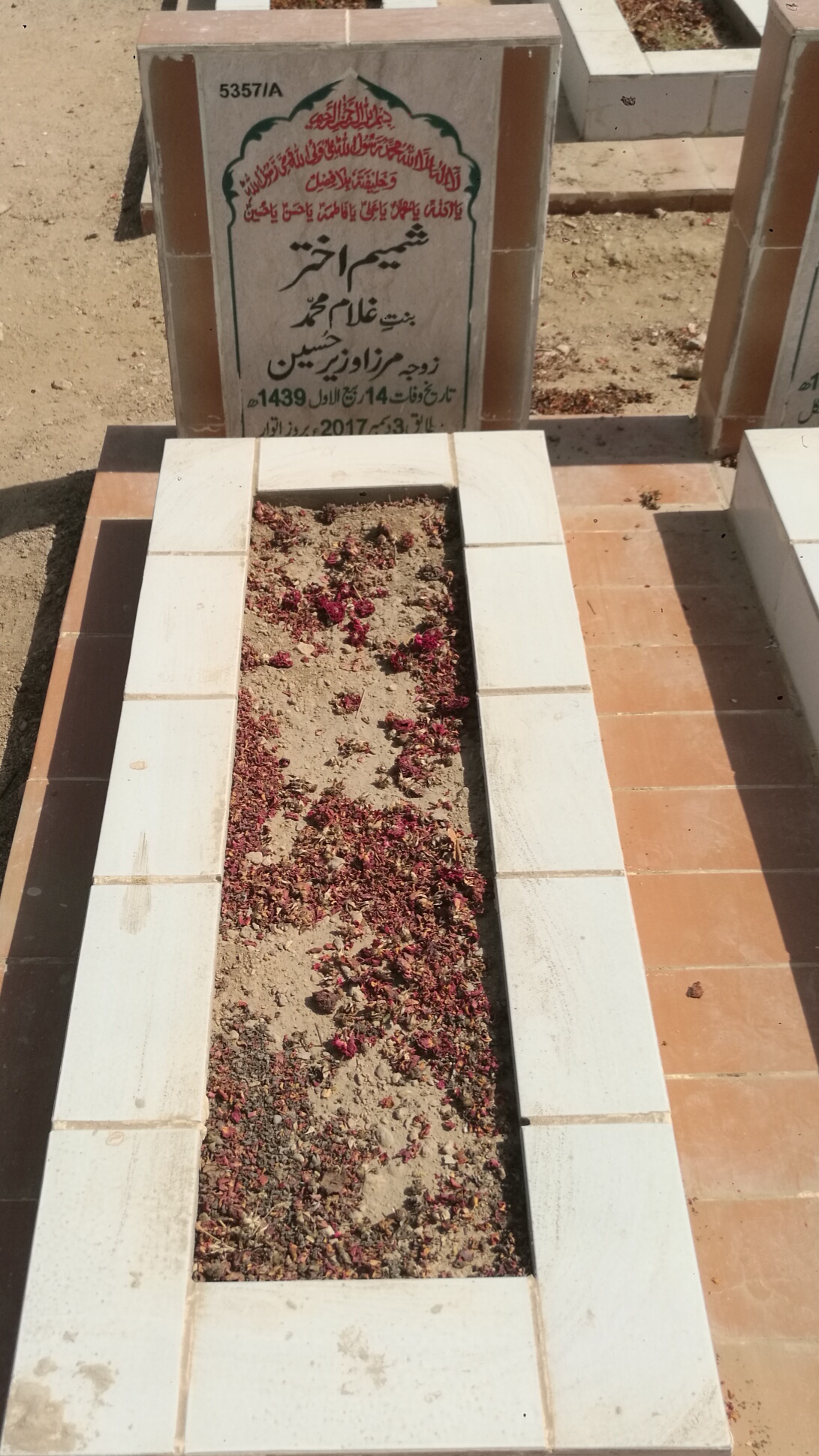 15357 – Shamim Akhtar