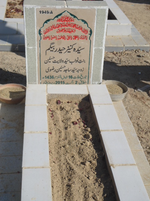 11949 – Syeda Kaneez Haider Begum