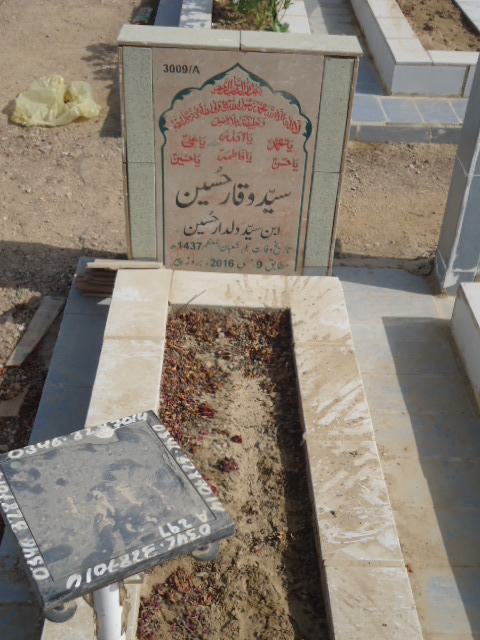 13009 – Syed Waqar Hussain