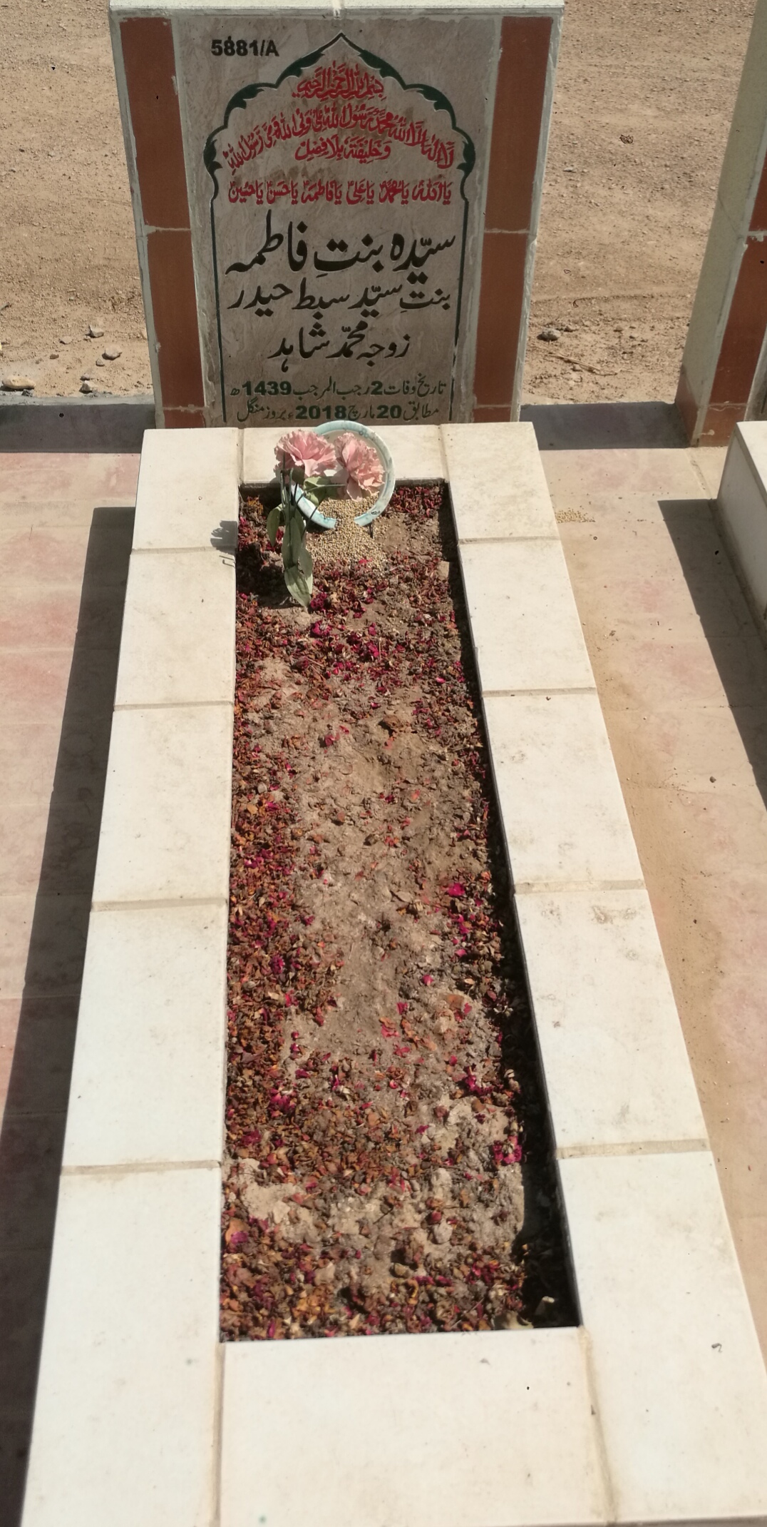 15881 – Syeda Binte Fatima