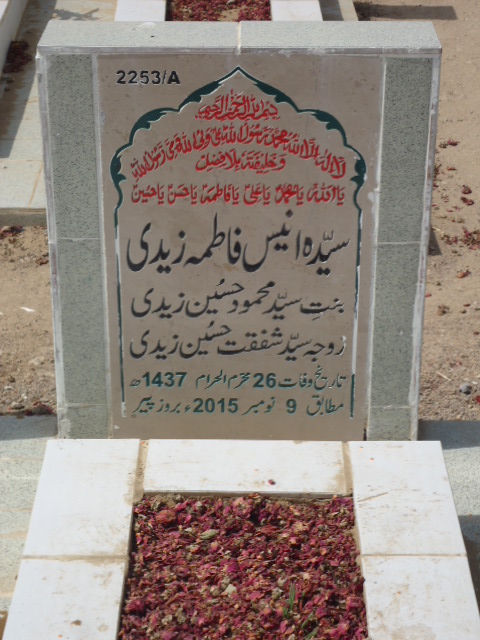12253 – Syeda Anees Fatima Zaidi
