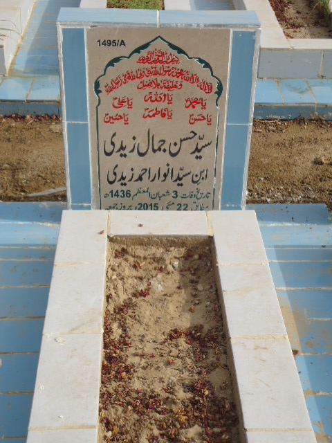 11495 – Syed Hasan Jamal Zaidi