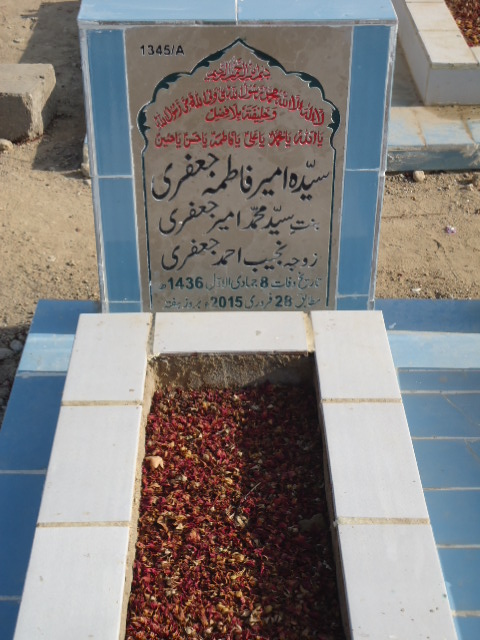 11345 – Syeda Ameer Fatima Jaffery