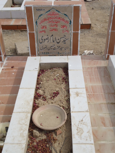 15065 – Syed Hassan Imam Rizvi