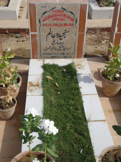 14204 – Sanjeeda Alam