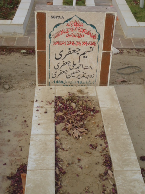 15677 – Naseem Jaffery