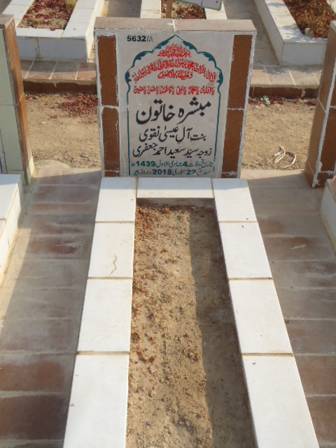 15632 – Mubashira Khatoon