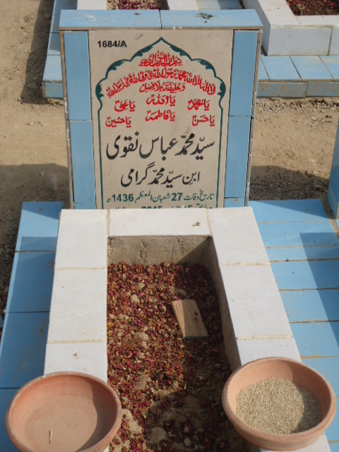 11684 – Syed Muhammad Abbas Naqvi