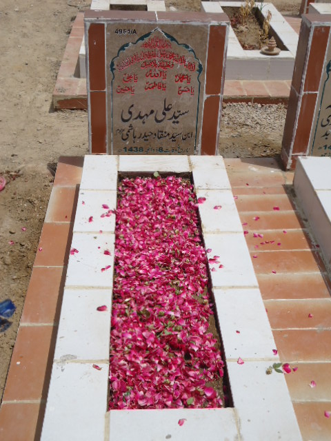 14961 – Syed Ali Mehdi