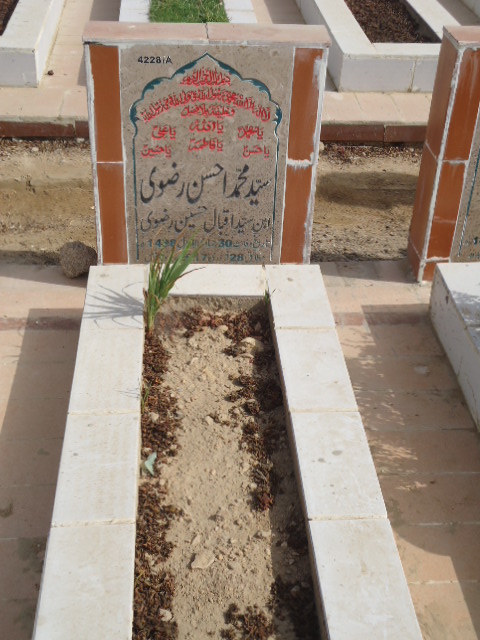 14228 – Syed Muhammad Ahsan Rizvi