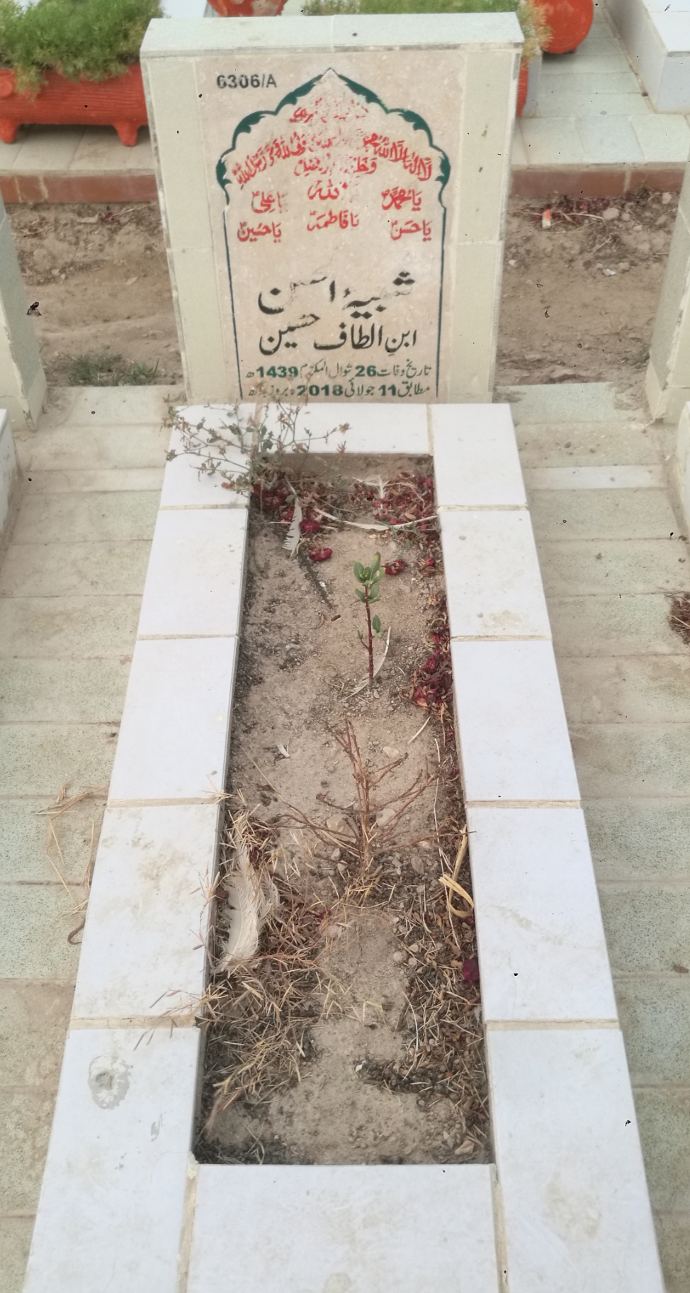 16306 – Shabhi Ul Hassan