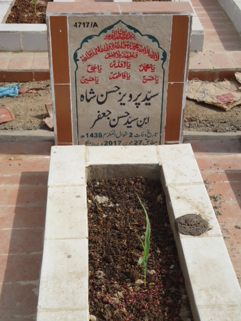 14717 – Syed Parvaiz Hassan Shah