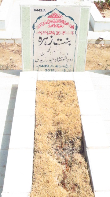 16442 – Binte Zehra