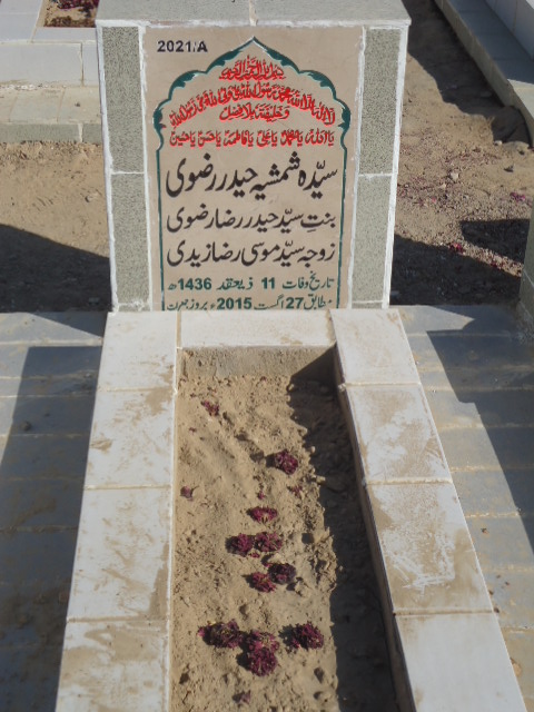 12021 – Syeda Shamshia Haider Rizvi