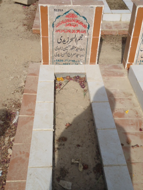15221 – Najmul Sehar Zaidi