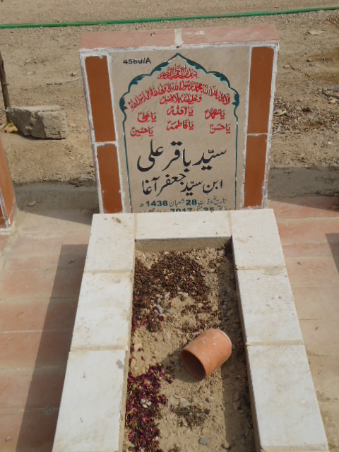 14580 – Syed Baqar Ali
