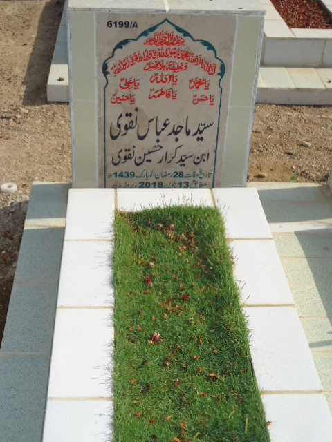 16199 – Syed Majid Abbas Naqvi