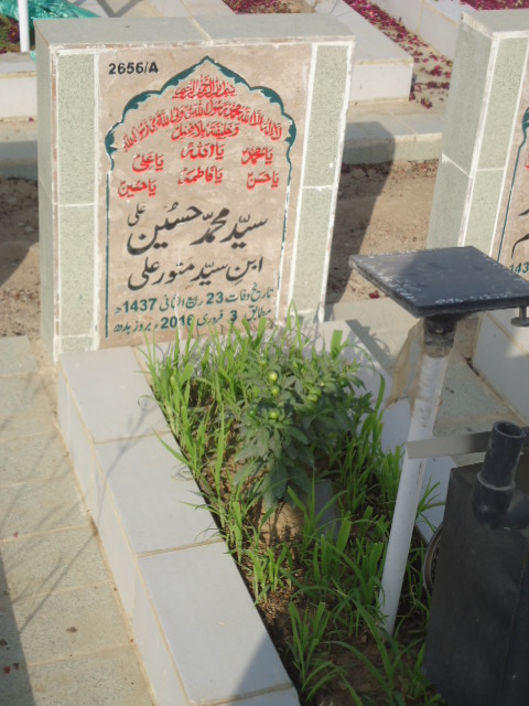 12656 – Syed Muhammad Hussain