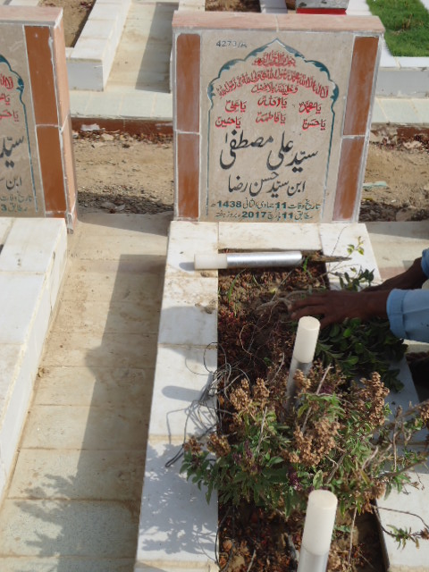 14273 – Syed Ali Mustafa