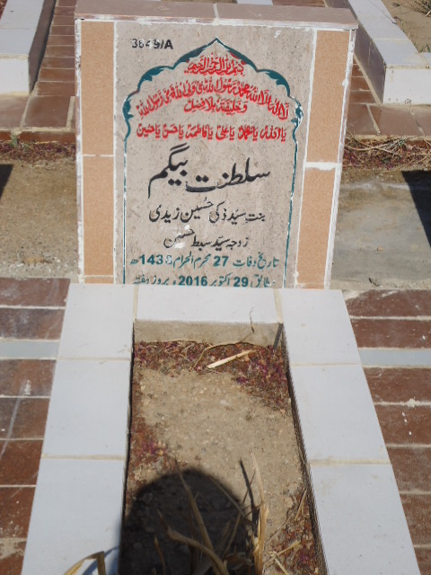 13649 – Saltanat Begum