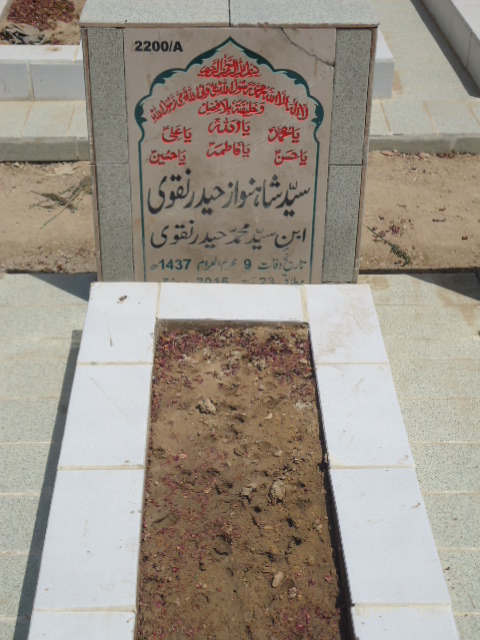 12200 – Syed Shahnawaz Haider Naqvi