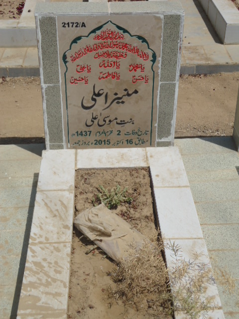 12172 – Muneeza Ali