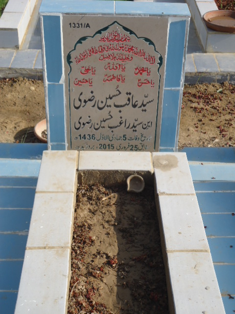 11331 – Syed Aqib Hussain Rizvi