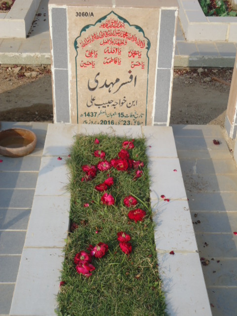 13060 – Afsar Mehdi