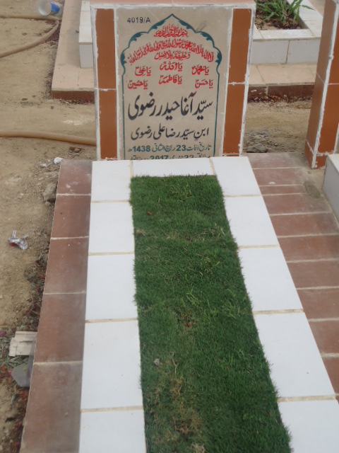 14019 – Syed Agha Haider Rizvi
