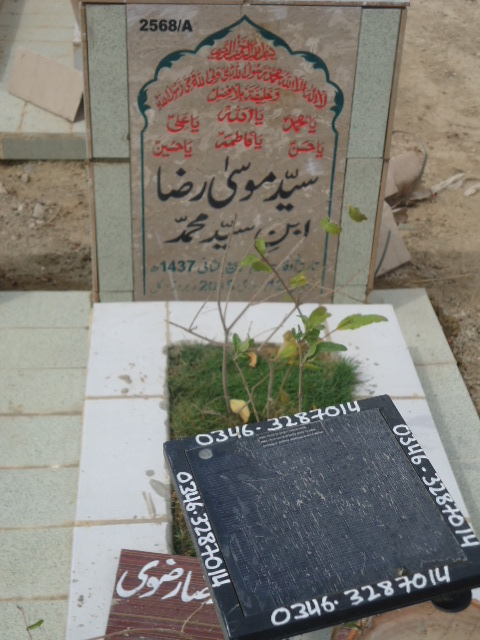 12568 – Syed Mosa Raza