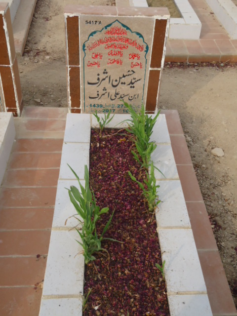 15417 – Syed Hussain Ashraf
