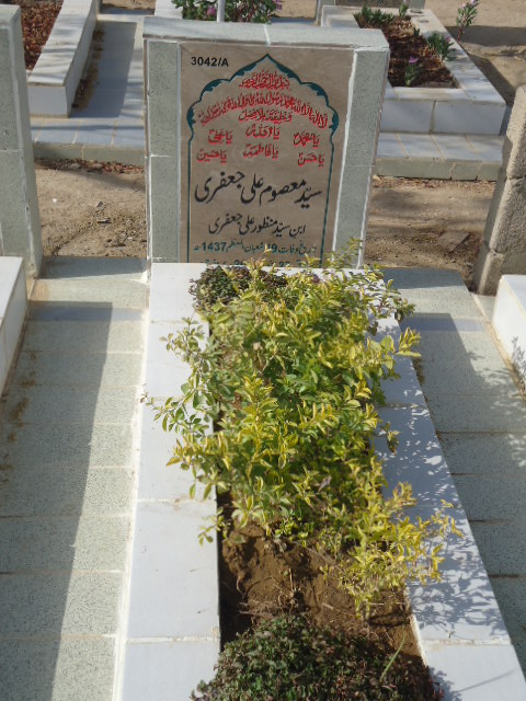 13042 – Syed Masoom Ali Jaffery