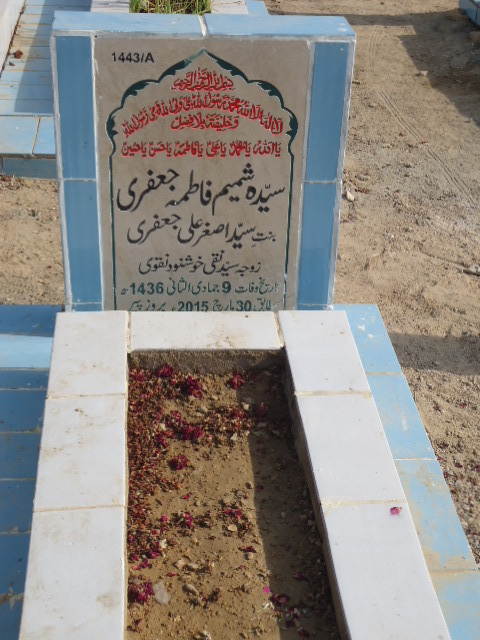 11443 – Syeda Shamim Fatima Jaffery