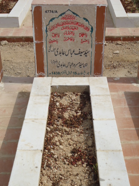 14774 – Syed Saif Abbas Abidi
