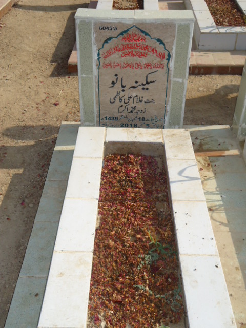 16045 – Sakina Bano