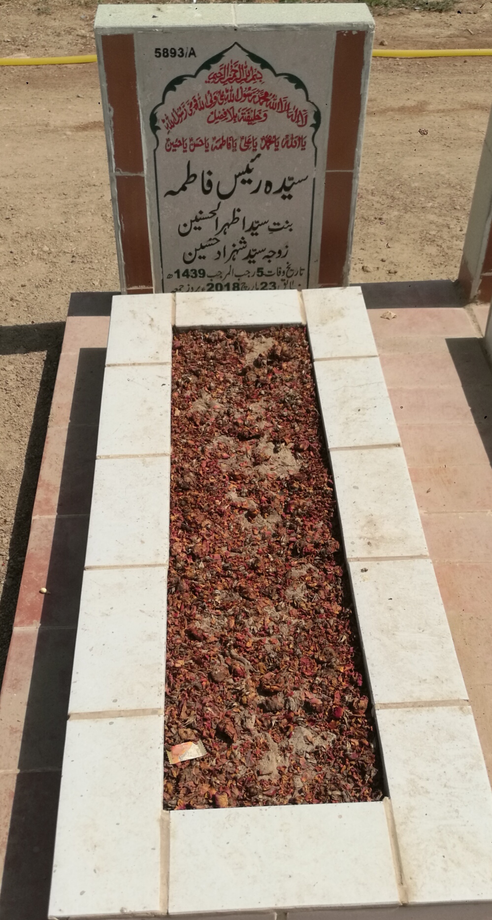 15893 – Syeda Raees Fatima